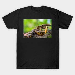 Brown mushrooms in the forest T-Shirt